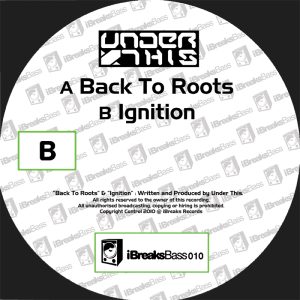 Back To Roots (Original Mix)